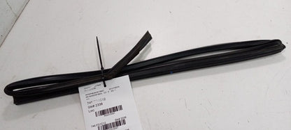 Ford Fiesta Door Glass Window Seal Rubber Right Passenger Rear Back 20