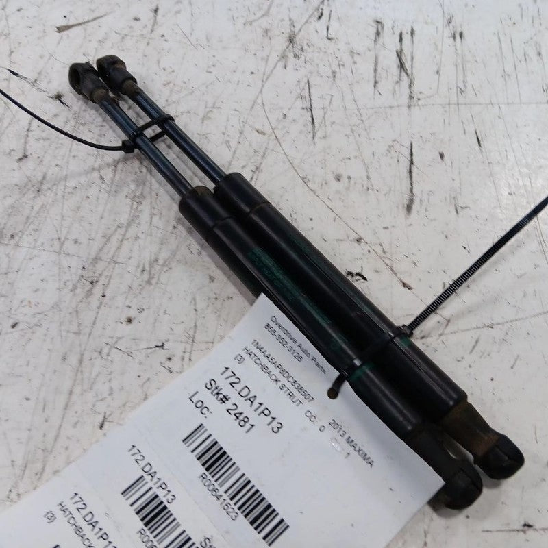 Nissan Maxima Hatchback Hatch Back Trunk Lid Shock Strut Support 2014 