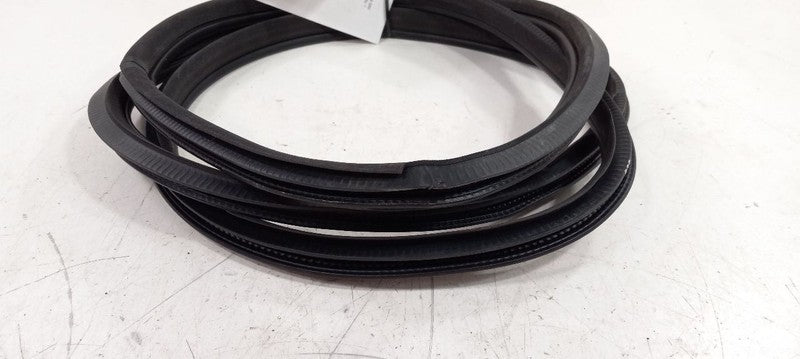 Infiniti Q50 On Body Door Jamb Seal Rear Right Passenger Back 2014 2015 2016