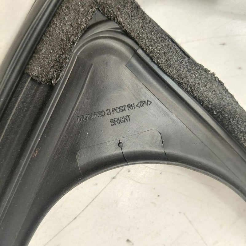 Chevy Volt Door Glass Window Seal Rubber Right Passenger Front  2016 2