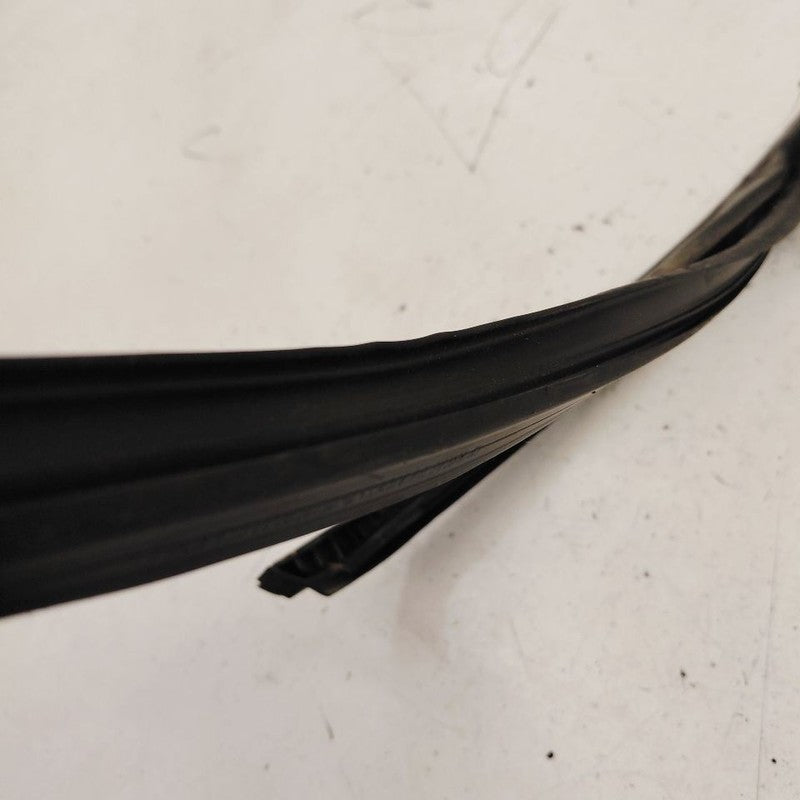 Chevy Trailblazer Door Glass Window Seal Rubber Left Driver Front 2023