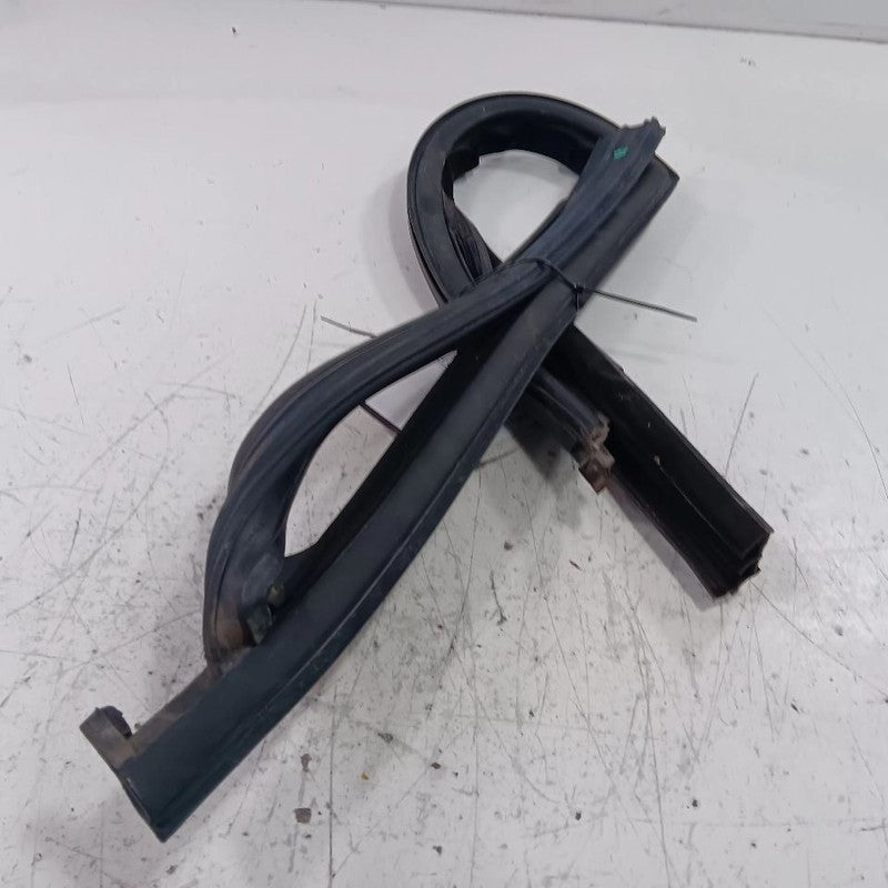 Fiat 500 Door Glass Window Seal Rubber Left Driver Front 2018 OEM