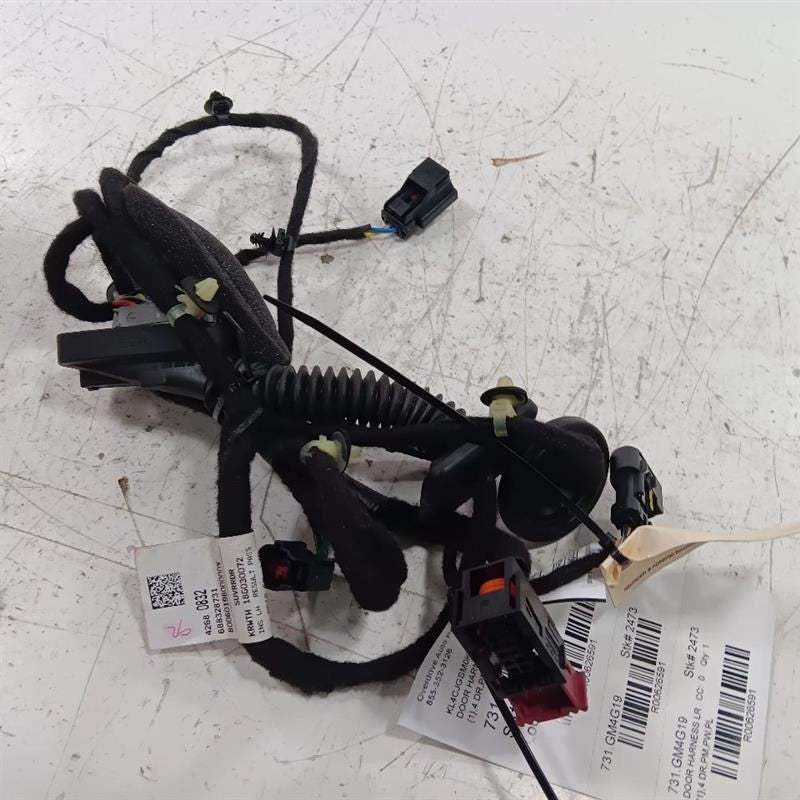Buick Encore Door Harness Wire Wiring Left Rear  2018 2019 2020 OEM