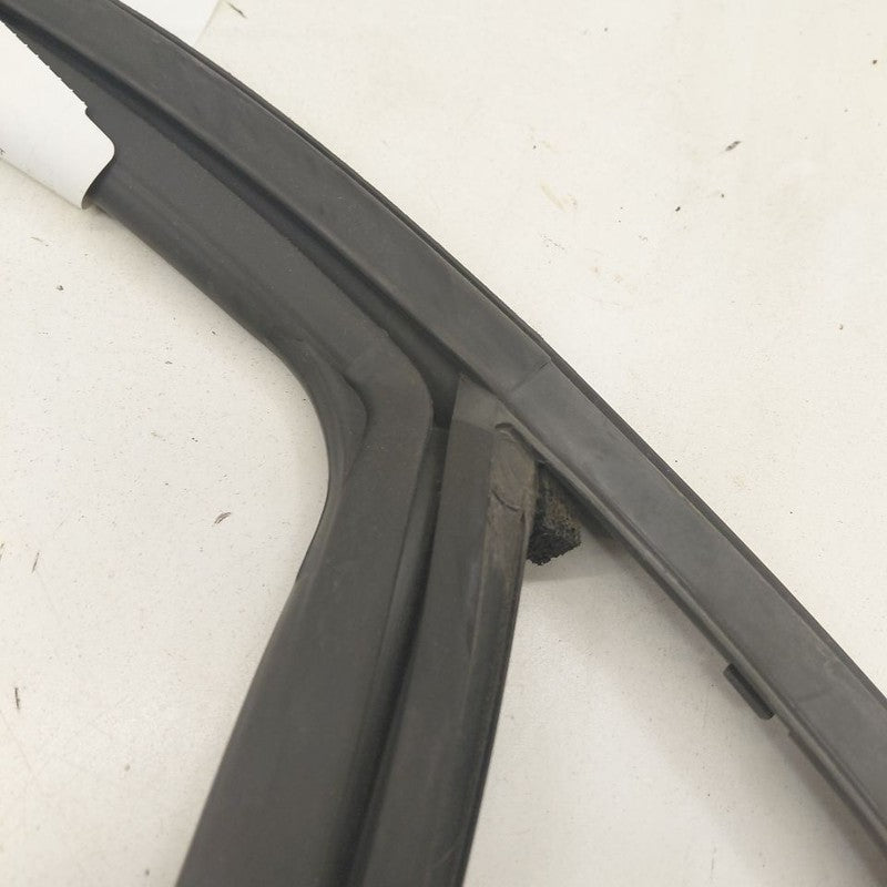 2018 Fiat 500 X Model Door Glass Window Seal Rubber Left Driver Rear B