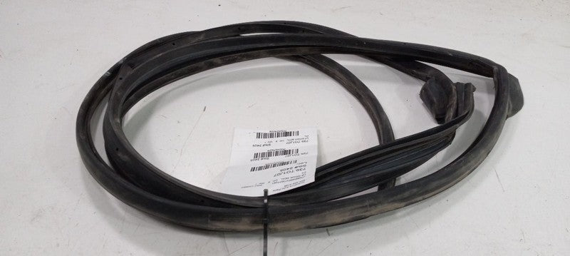 Toyota Camry On Door Seal Rubber Left Rear Back 2007 2008 2009 OEM