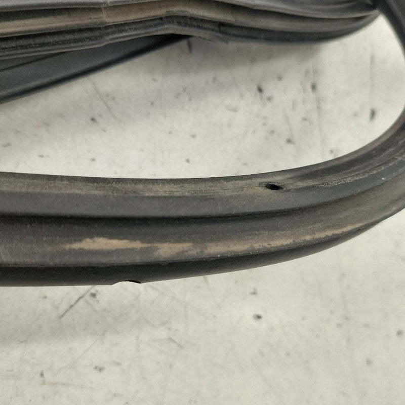 Hyundai Veloster On Door Seal Rubber Right Passenger Front  2017 2016 