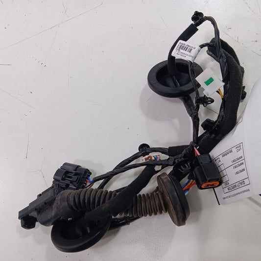 Kia Sportage Door Harness Wire Wiring Left Driver Rear  2022 2021 2020