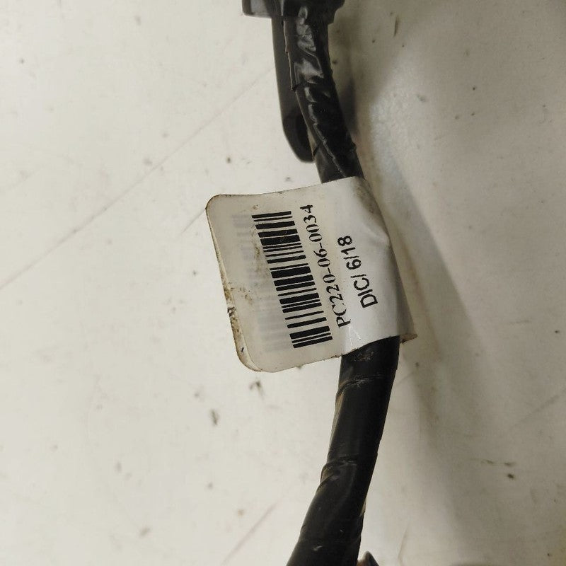 Ford Edge Wire Harness {PC220060034} 2019 2020 2021 2022 2023 2024 OEM
