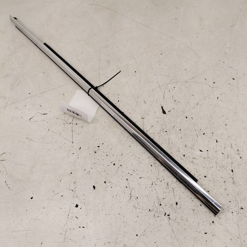Cadillac CT6 Door Glass Window Weather Strip Trim Front Right Passenge