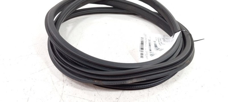 Infiniti Q50 On Body Door Jamb Seal Rear Right Passenger Back 2014 2015 2016