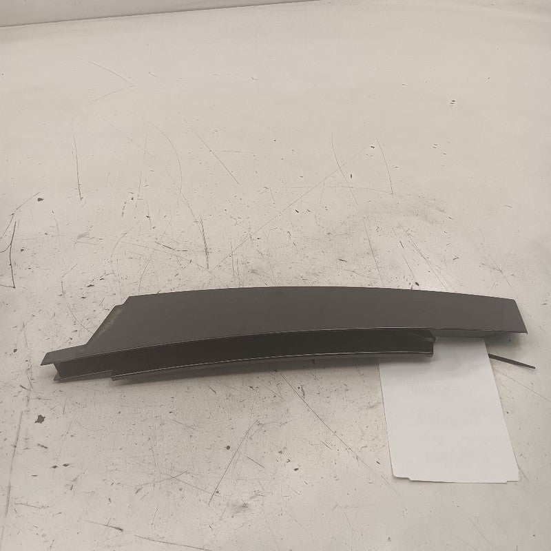 Cadillac XTS Passenger Right Front Door Applique      2016 2017 2018