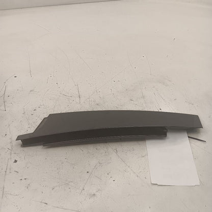 Cadillac XTS Passenger Right Front Door Applique      2016 2017 2018