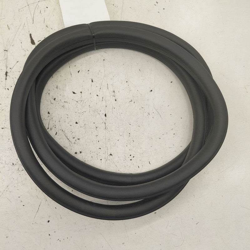 Cadillac CT6 On Body Door Jamb Seal Rear Right Passenger Back  2018 20