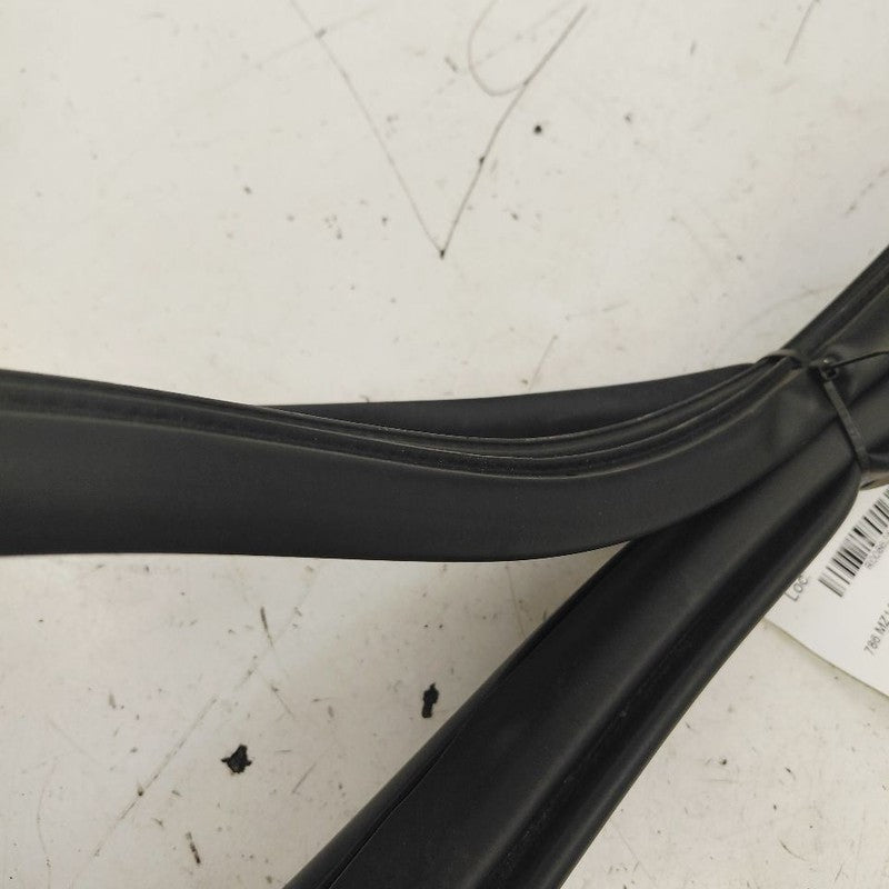 Mazda 3 On Body Door Jamb Seal Front Right Passenger  2023 2022 2021