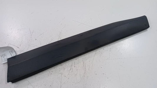 Toyota Rav 4 Door Molding Trim Strip Right Passenger Side Front  2019 