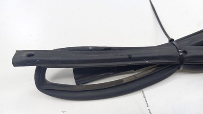 Nissan Sentra On Door Seal Rubber Right Passenger Rear Back 2006 2005 2004 2003 