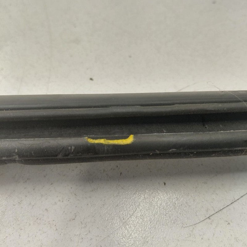 Toyota Prius Door Glass Window Weather Strip Trim Rear Left Driver Bac