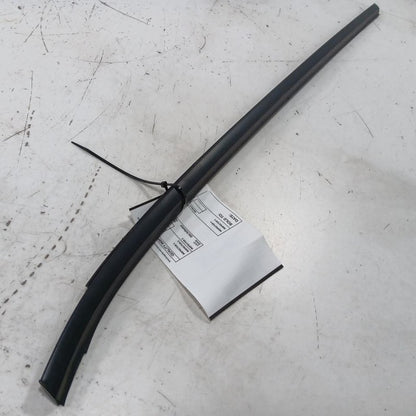 Nissan LEAF Door Glass Window Weather Strip Trim Rear Left Driver Back