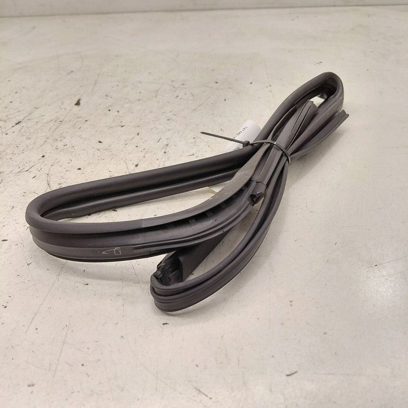 Mitsubishi Mirage Door Glass Window Seal Rubber Left Driver Rear Back 