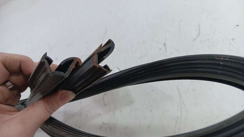 Hyundai Elantra Door Glass Window Seal Rubber Left Driver Front  2011 
