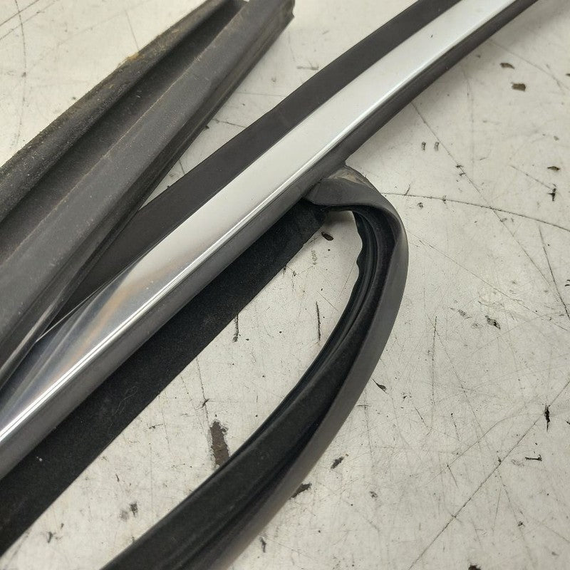 Volvo S60 Door Glass Window Seal Rubber Left Driver Rear Back  2013 20
