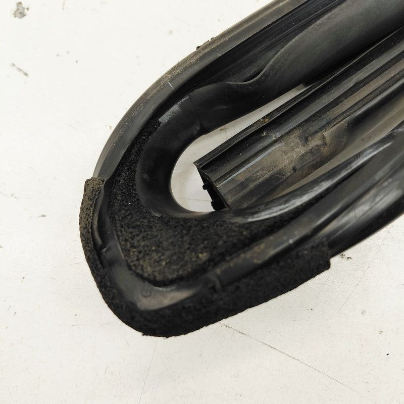 Ford Ecosport Door Glass Window Seal Rubber Right Passenger Rear Back 