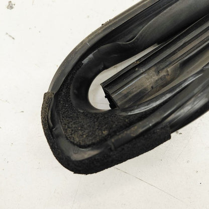 Ford Ecosport Door Glass Window Seal Rubber Right Passenger Rear Back 