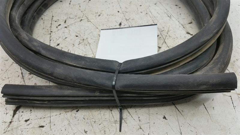Dodge Journey On Body Door Jamb Seal Gasket Rear Right Passenger Back 2009 2010
