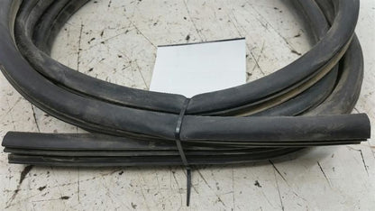 Dodge Journey On Body Door Jamb Seal Gasket Rear Right Passenger Back 2009 2010