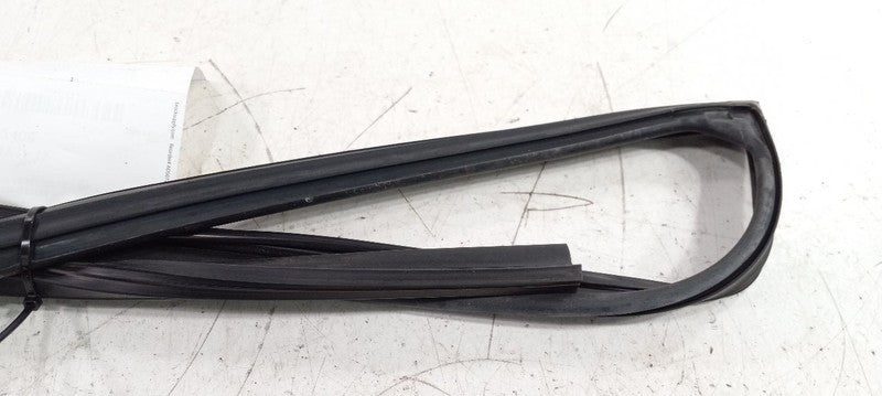Hyundai Sonata Door Glass Window Seal Rubber Left Driver Front 2011 20