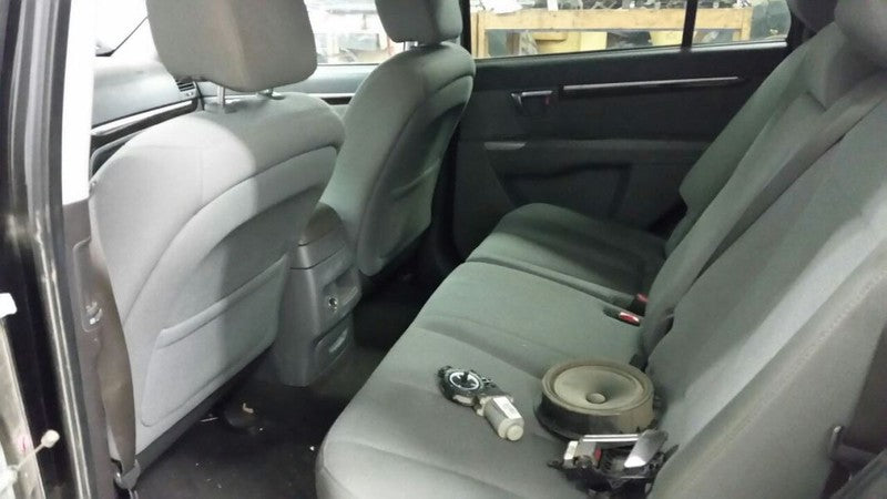 824210W011 Passenger Right Front Door Glass Window Fits 10-12 SANTA FE