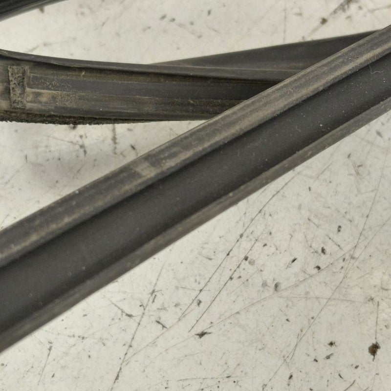 Honda Clarity Door Glass Window Seal Rubber Right Passenger Rear Back 