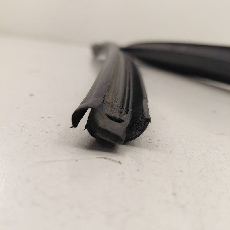 Volvo S60 Door Glass Window Seal Rubber Left Driver Rear Back  2018 20