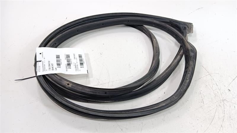 Buick Encore On Door Seal Rubber Left Driver Front 2016 2017 2018 2019