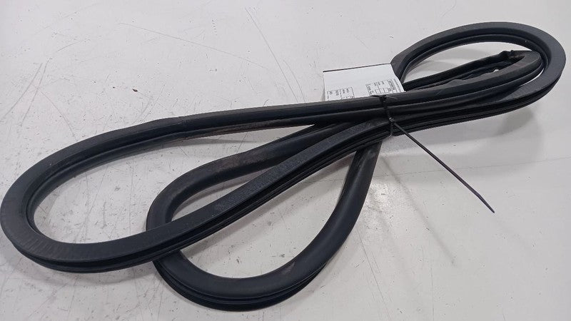 Dodge Dart On Body Door Jamb Seal Rear Left Back  2013 2014 2015 2016