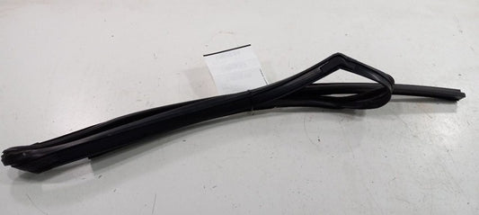 Cadillac SRX Door Glass Window Seal Rubber Right Passenger Rear Back 2013 2014
