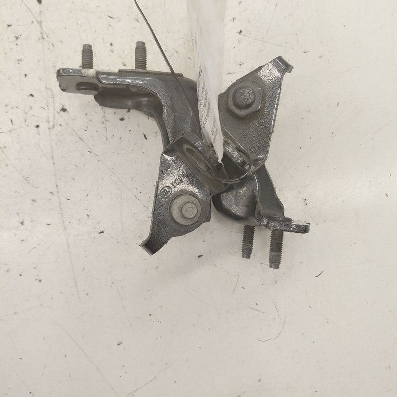Ford Edge Door Hinge Set Left Driver Rear  2019 2020 2021 2022