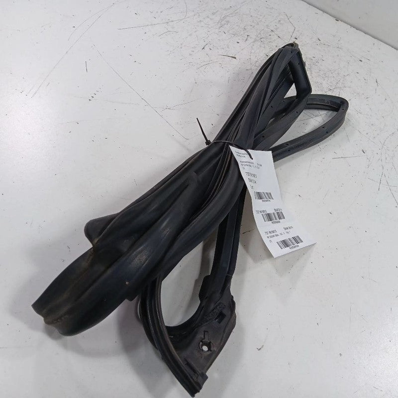 INFINITI Q50 On Door Seal Rubber Right Passenger Front  2014 2015 2016 2017 2018