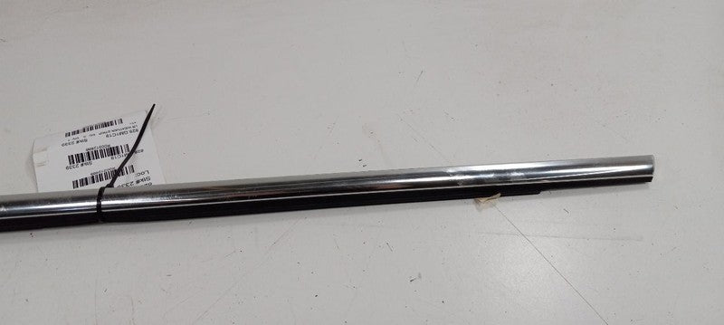 Chevy Cruze Door Glass Window Weather Strip Trim Rear Left Back 2019 2018