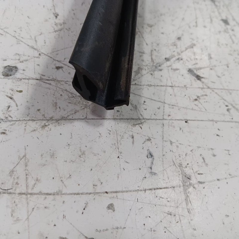 Kia Forte Door Glass Window Seal Rubber Right Passenger Rear Back  2015 2016 201