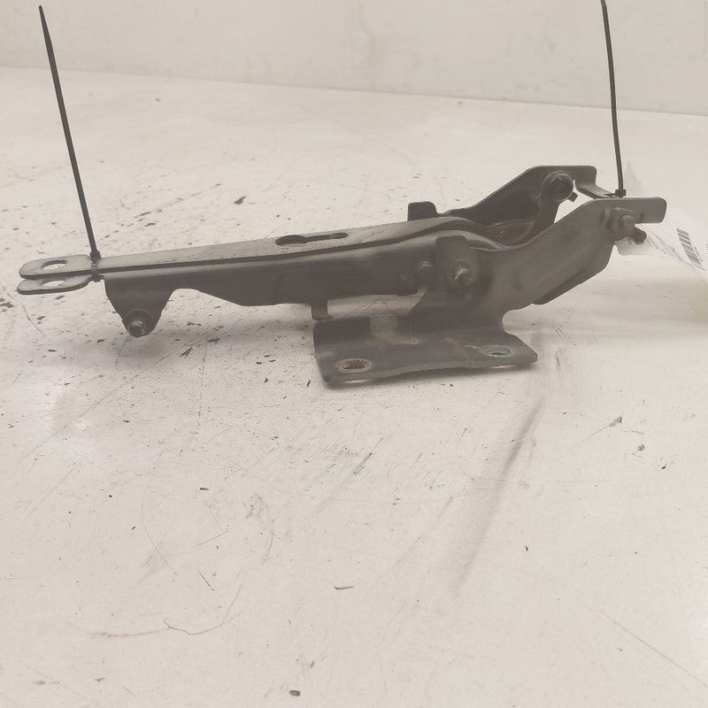 Volvo S60 Hood Hinge Set Left and Right  2013 2014 2015