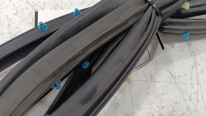 Dodge Dart On Door Seal Rubber Right Passenger Rear Back  2013 2014 2015 2016