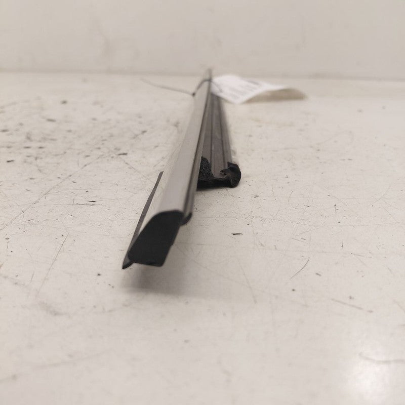 Ford Edge Door Glass Window Weather Strip Trim Rear Left Driver Back  