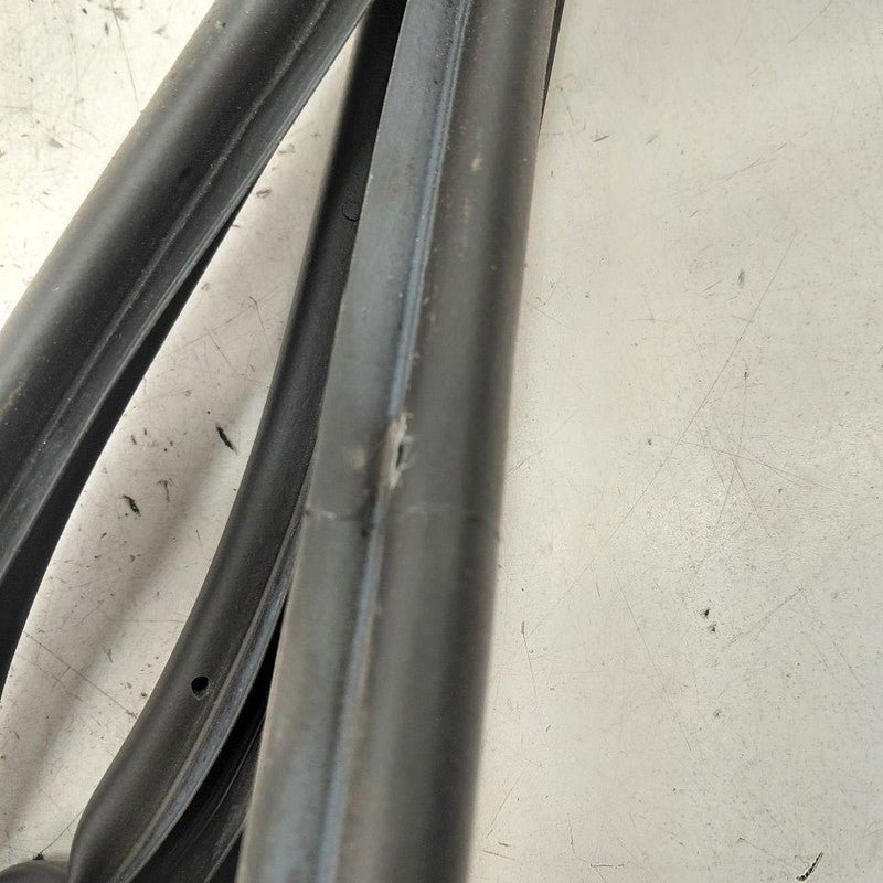 Cadillac CT6 On Door Seal Rubber Left Driver Rear Back  2018 2017 2016