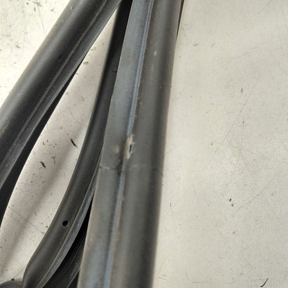 Cadillac CT6 On Door Seal Rubber Left Driver Rear Back  2018 2017 2016