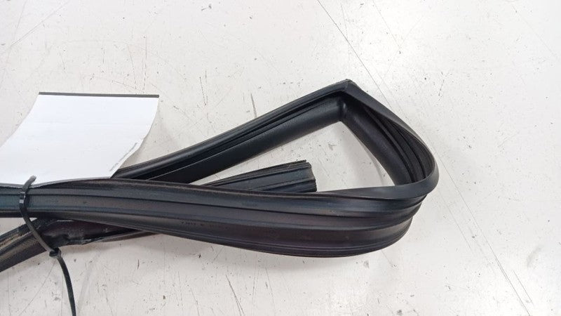 Hyundai Sonata Door Glass Window Seal Rubber Right Passenger Rear Back