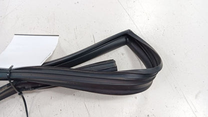 Hyundai Sonata Door Glass Window Seal Rubber Right Passenger Rear Back