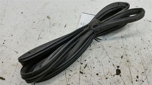 Nissan Maxima On Door Seal Rubber Gasket Left Driver Front 2005 2006 2007 2008
