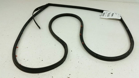 Hyundai Elantran Door Seal Rubber Gasket Right Passenger Rear Back 2009 2010