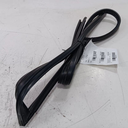 Nissan Maxima Door Glass Window Seal Rubber Right Passenger Front 2014